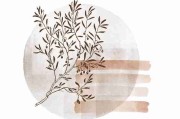黑料社官网被曝知名网红私生活曝光再起波澜核心图集再起波澜事件全貌