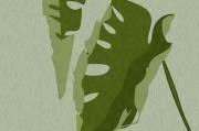 黑料万里长征首页曝光艺人负面舆情整合升级版，万里长征黑料未打烊