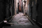 【91网页版】光影交错生态版图洞察 - 横扫热搜