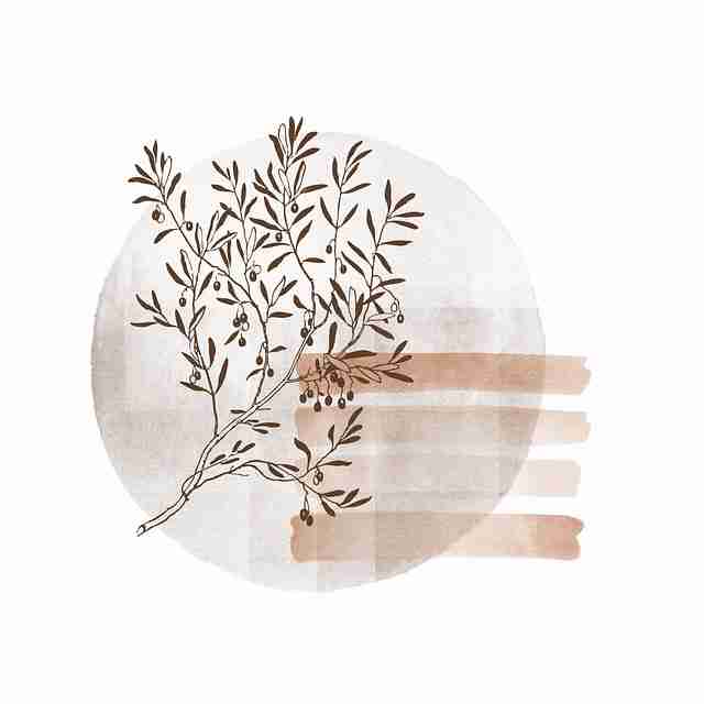 鉴黄师独家爆料全景复盘:幕后故事深度解析
